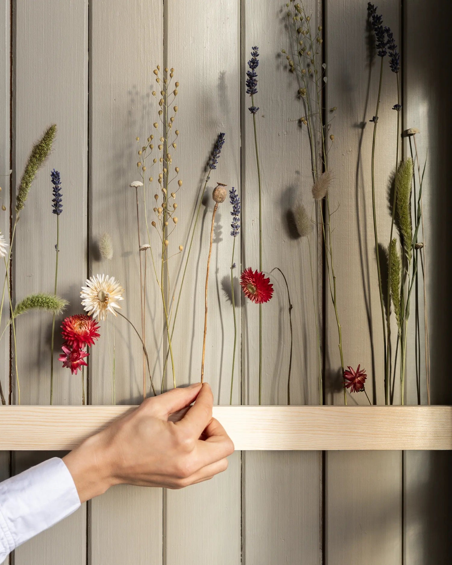 Torkade blommor - Blomlist