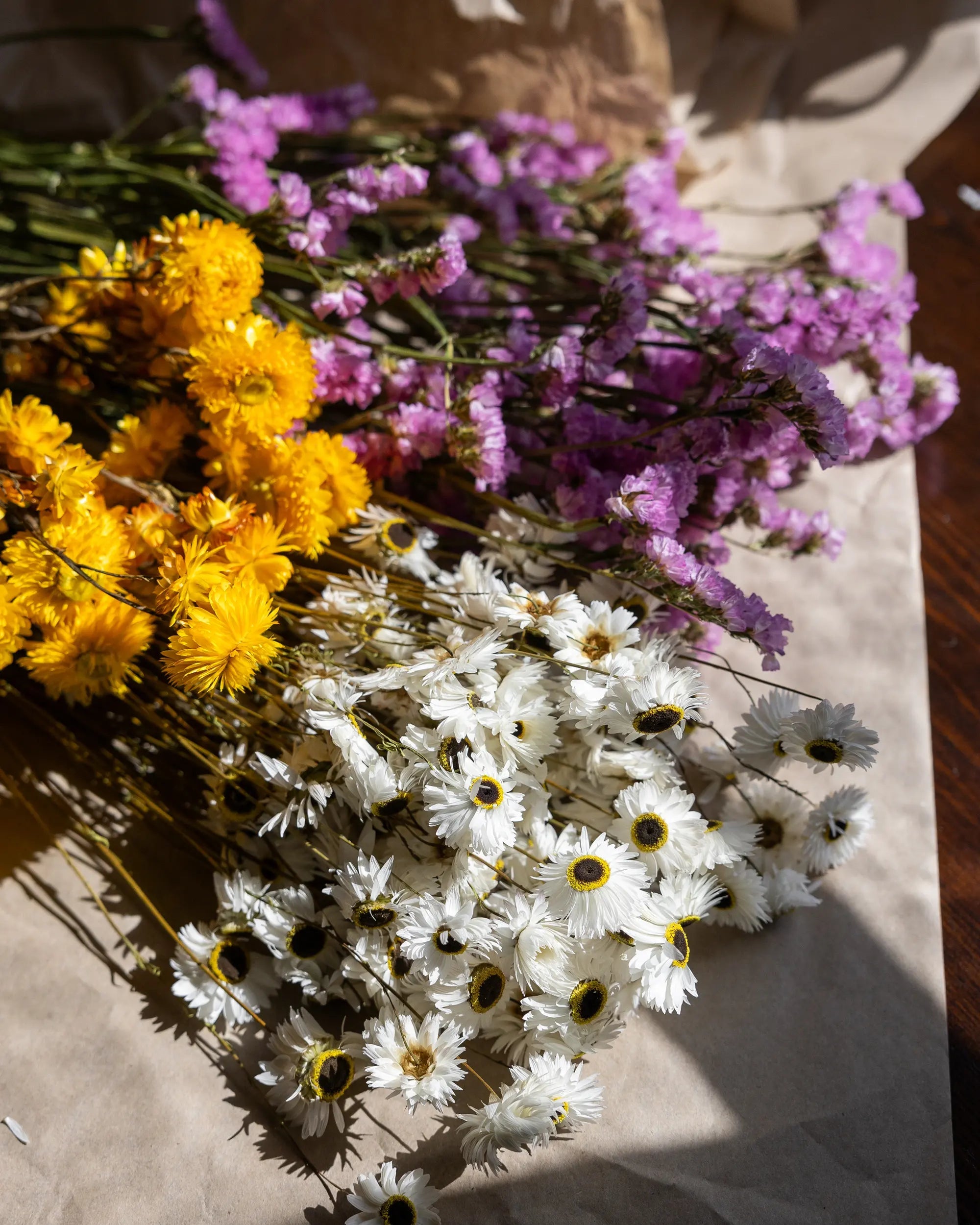 Torkade blommor - Helichrysum Gul