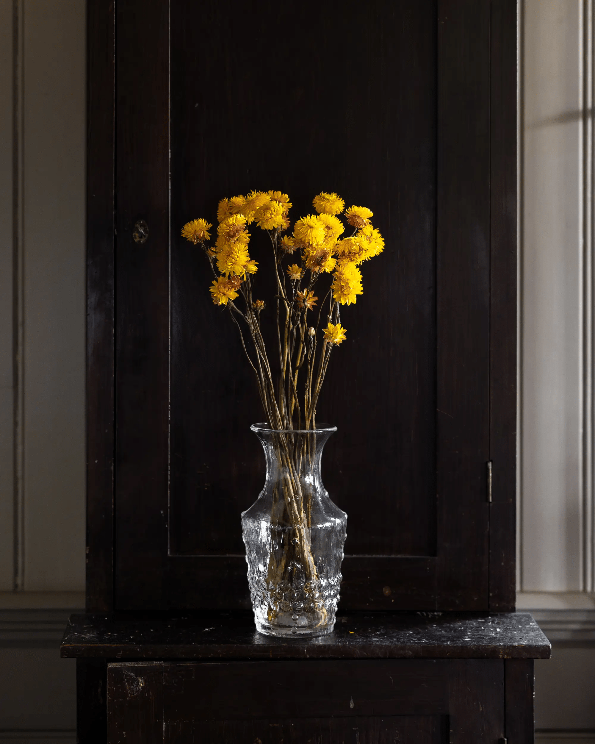 Torkade blommor - Helichrysum Gul