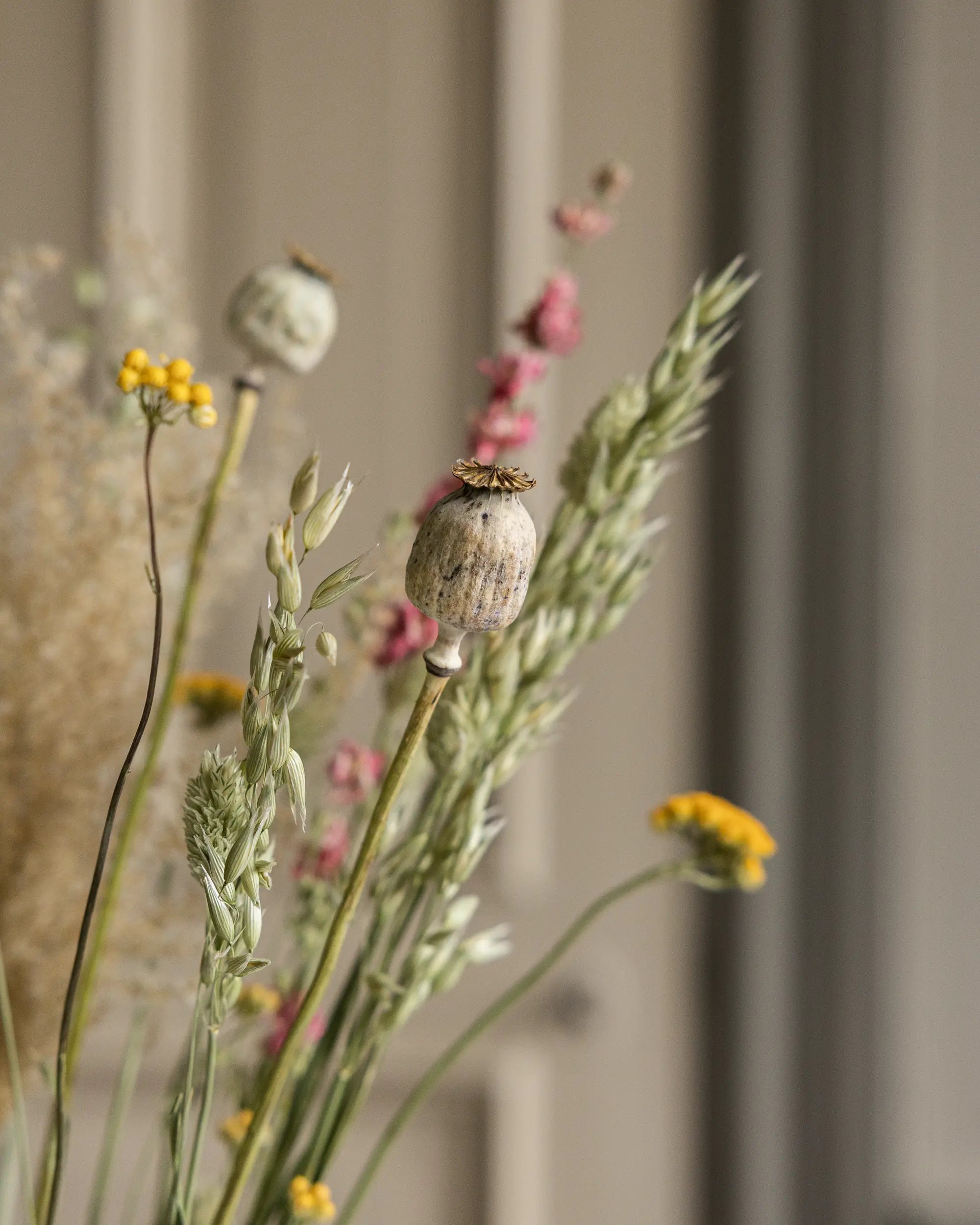 Torkade blommor - Torkad Bukett Gotland