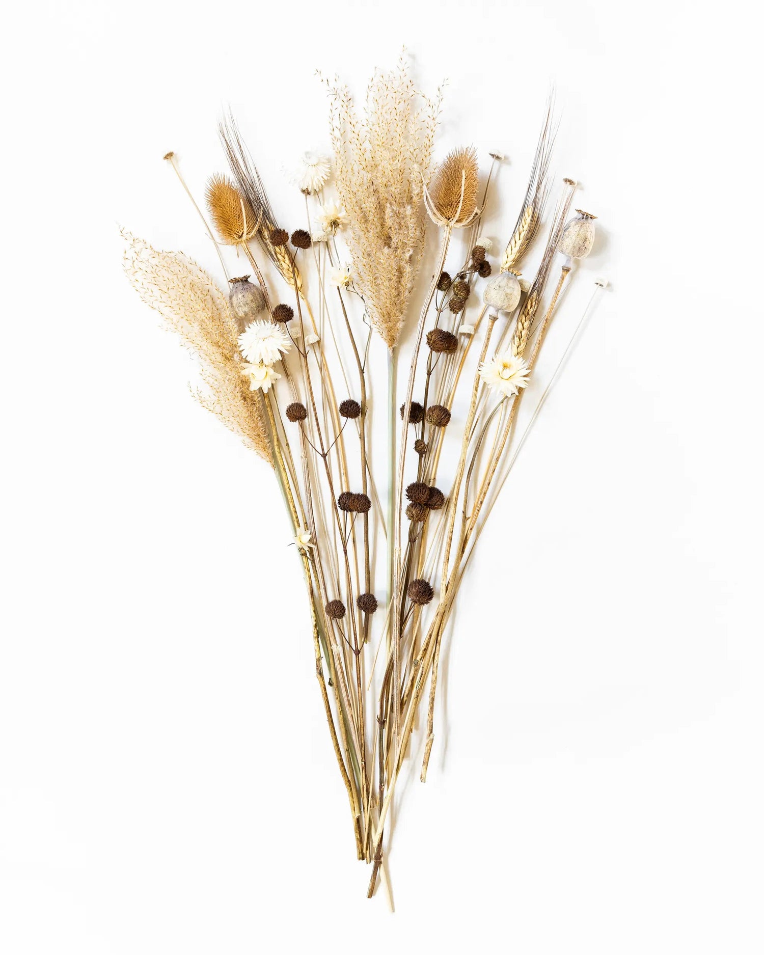 Torkade blommor - Torkad Bukett Natur