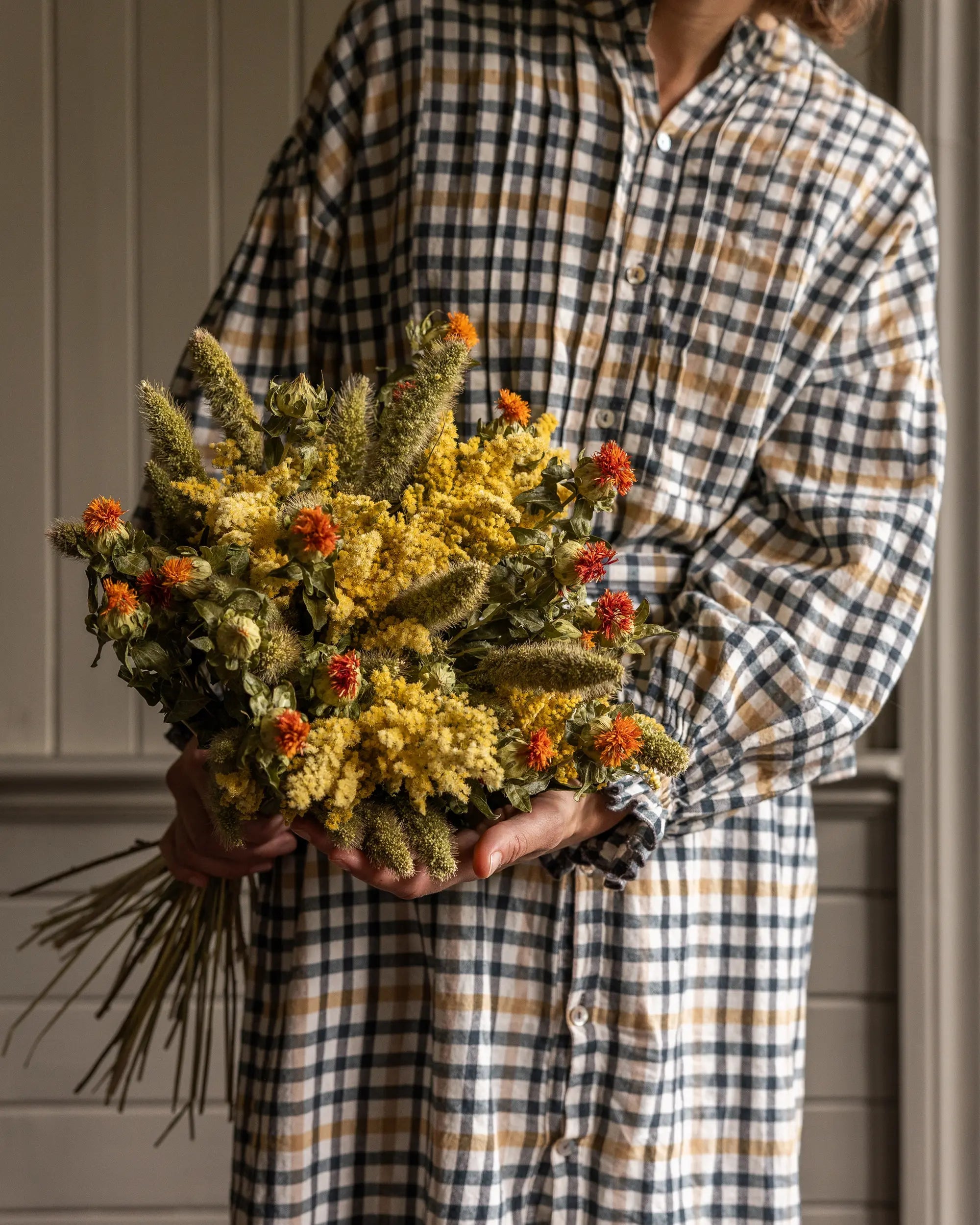 Torkade blommor - Torkad Kolvhirs