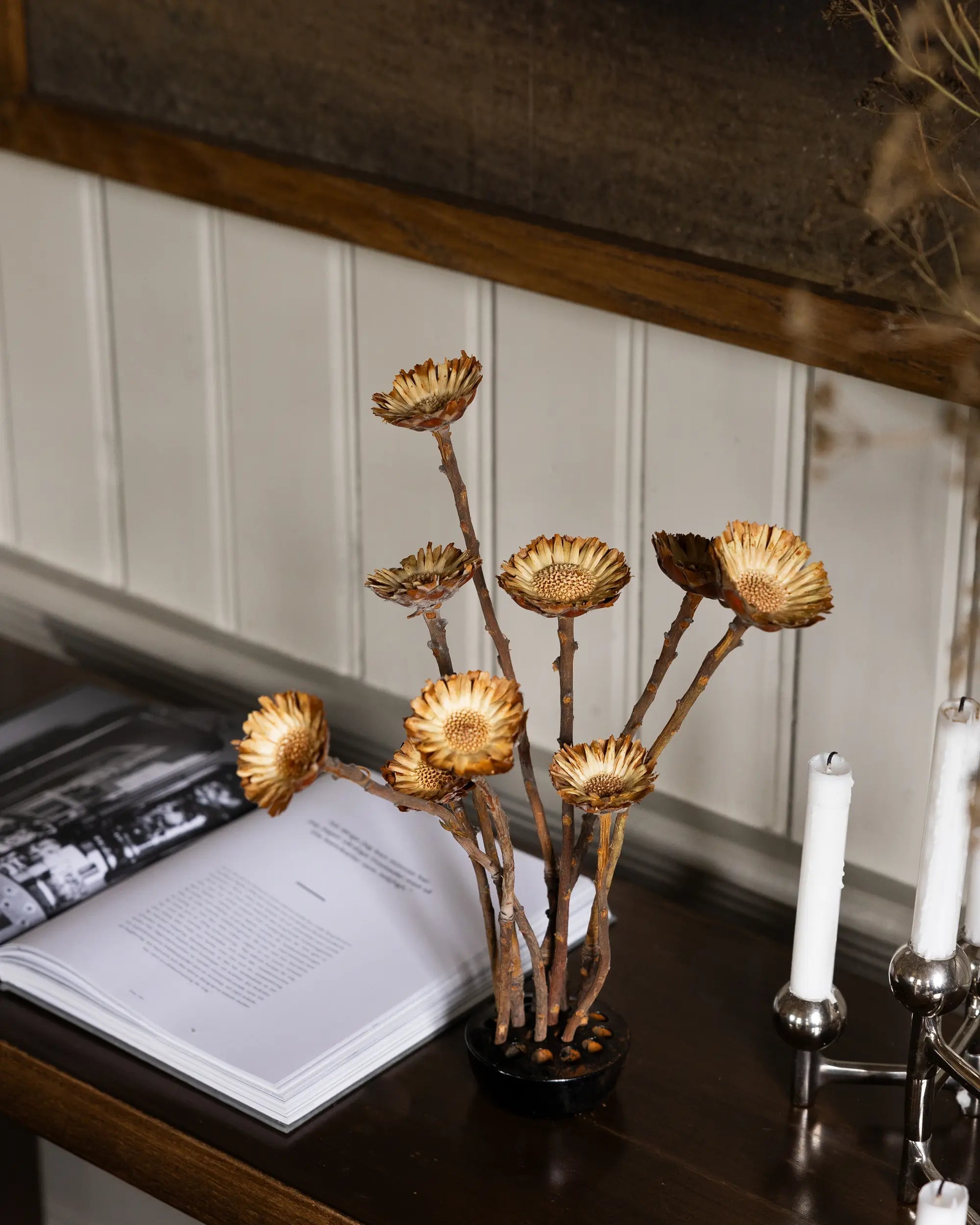 Torkade blommor - Torkade Träblommor