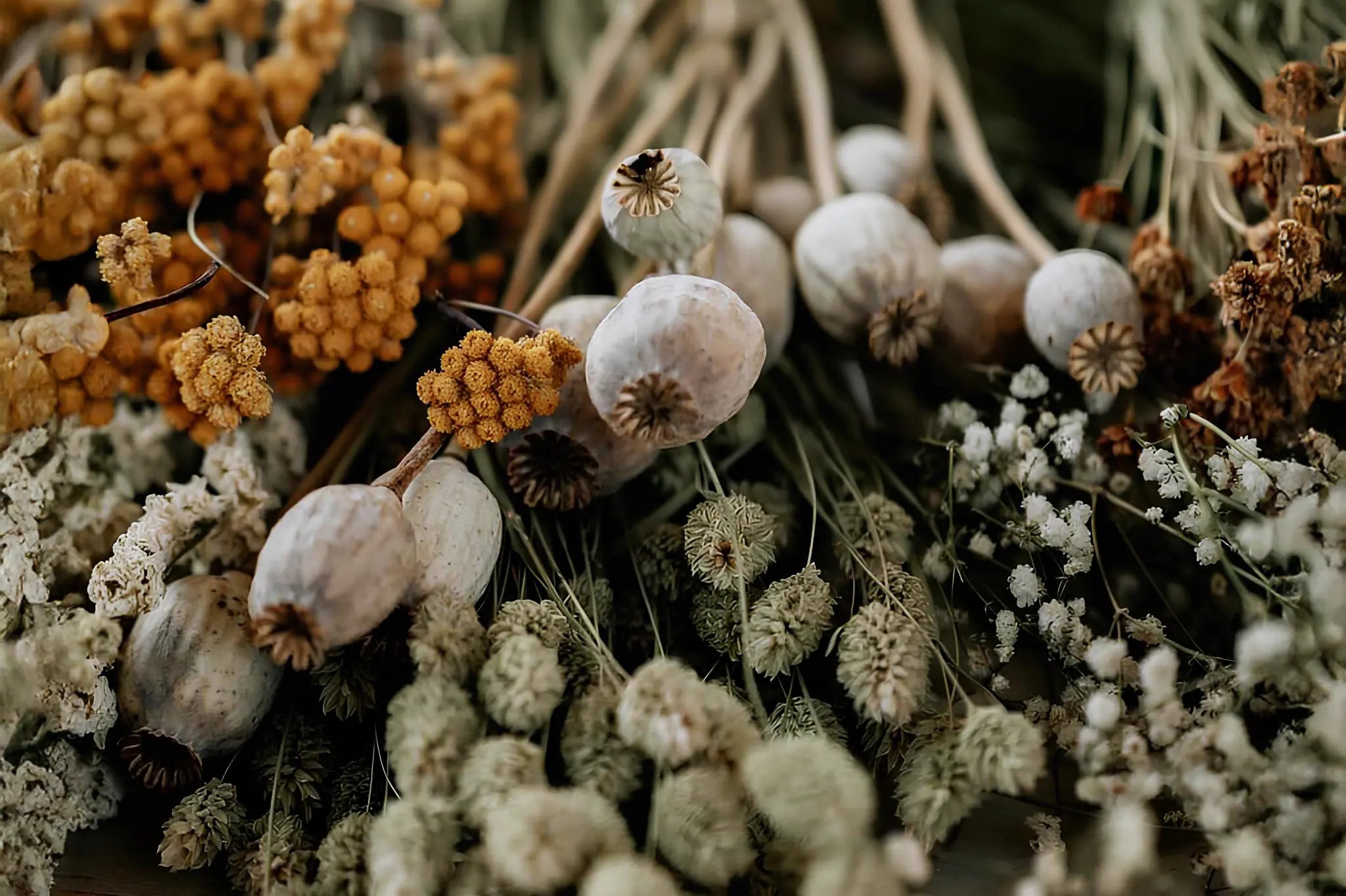 Så torkar du dina blommor