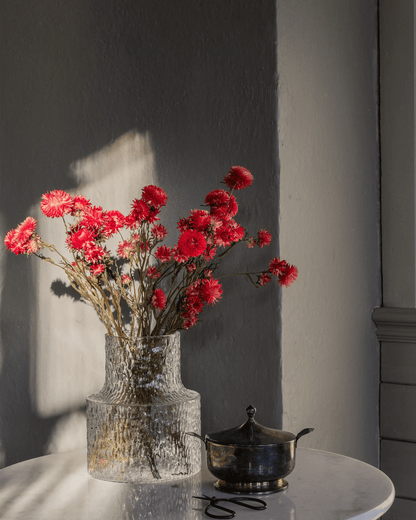 Torkade blommor - Helichrysum Röd – Blombruket AB