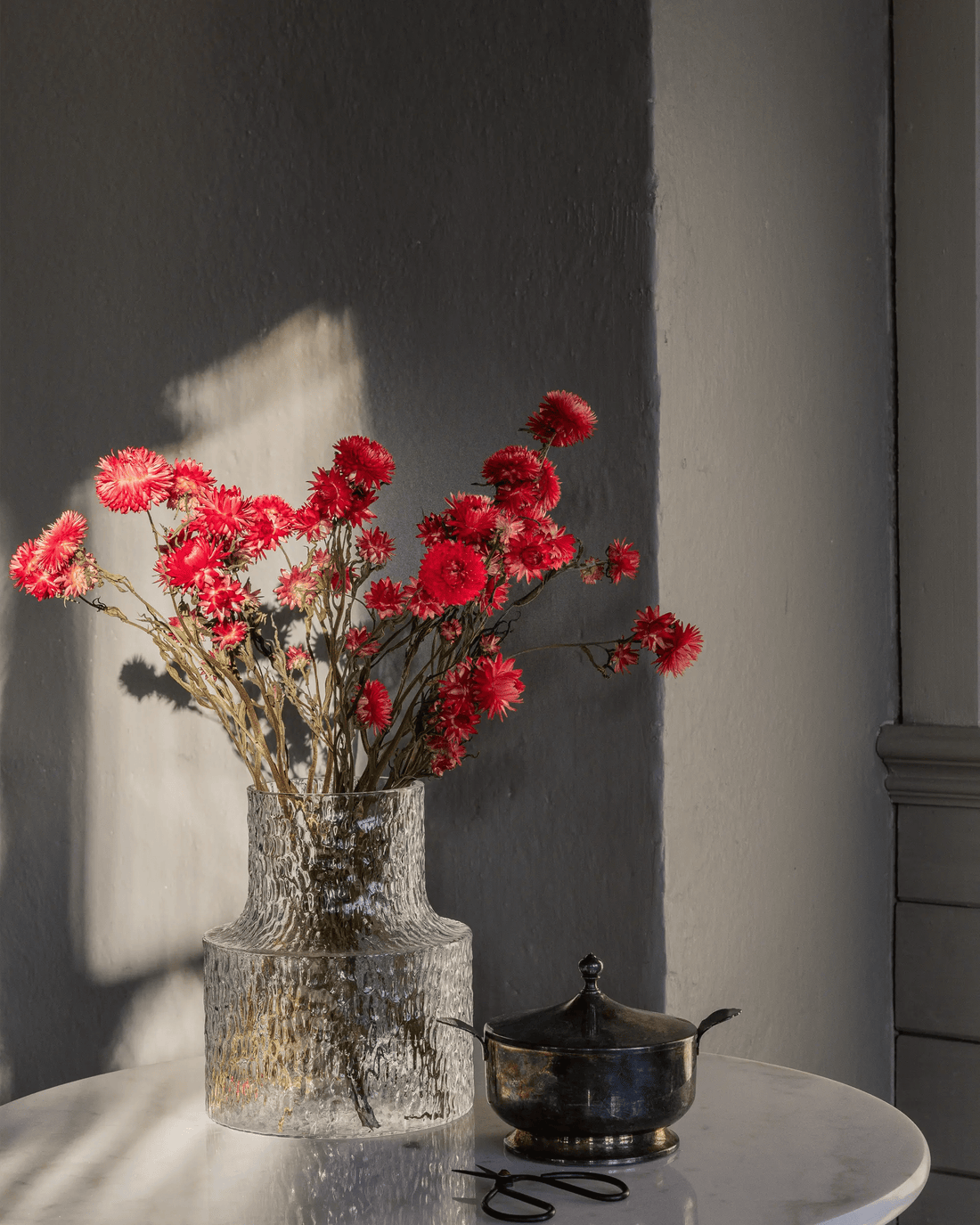 Torkade blommor - Helichrysum Röd