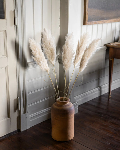 Pampas 115 cm