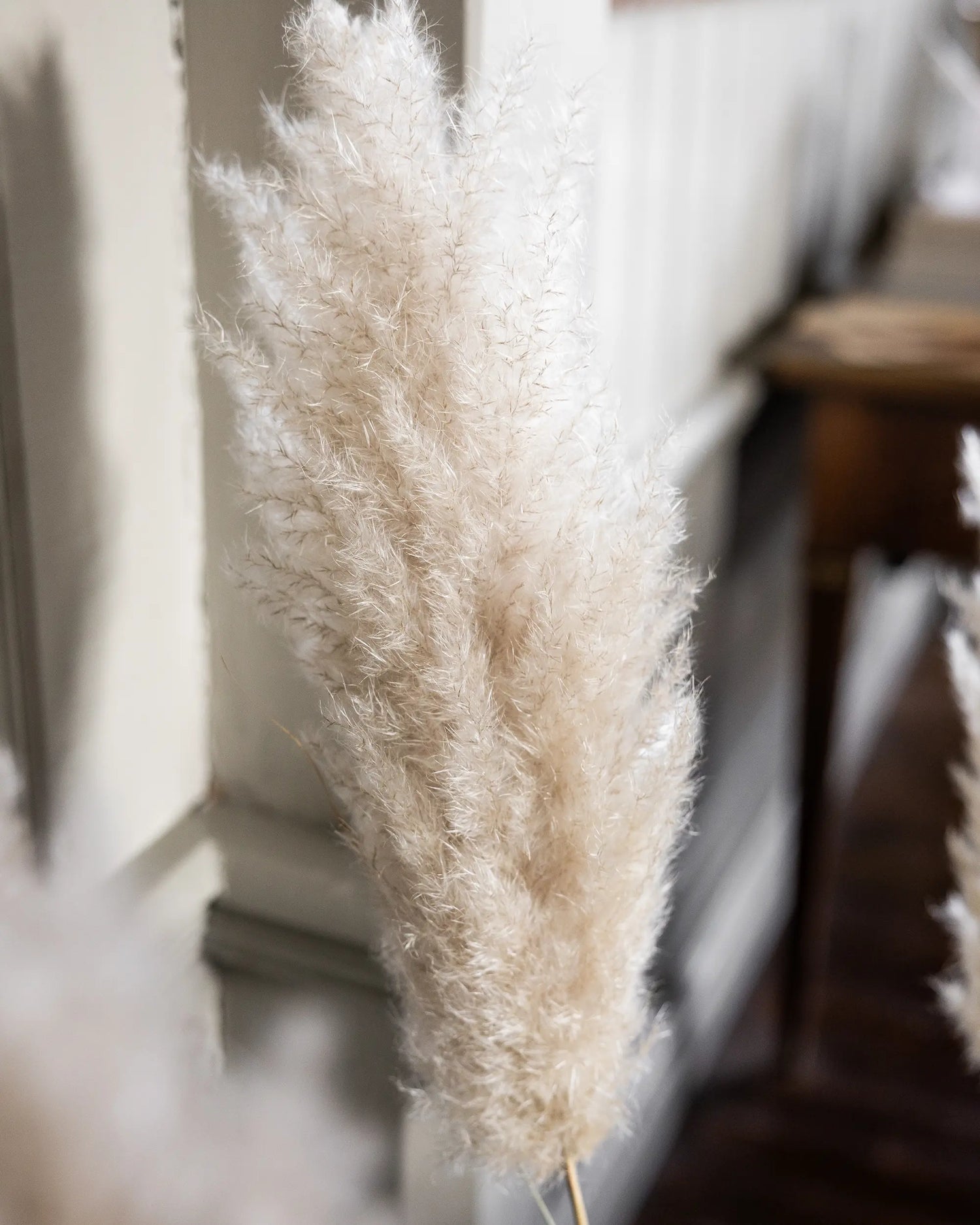 Pampas 115 cm