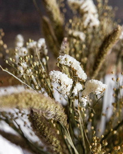 Torkade blommor - Risp Vit