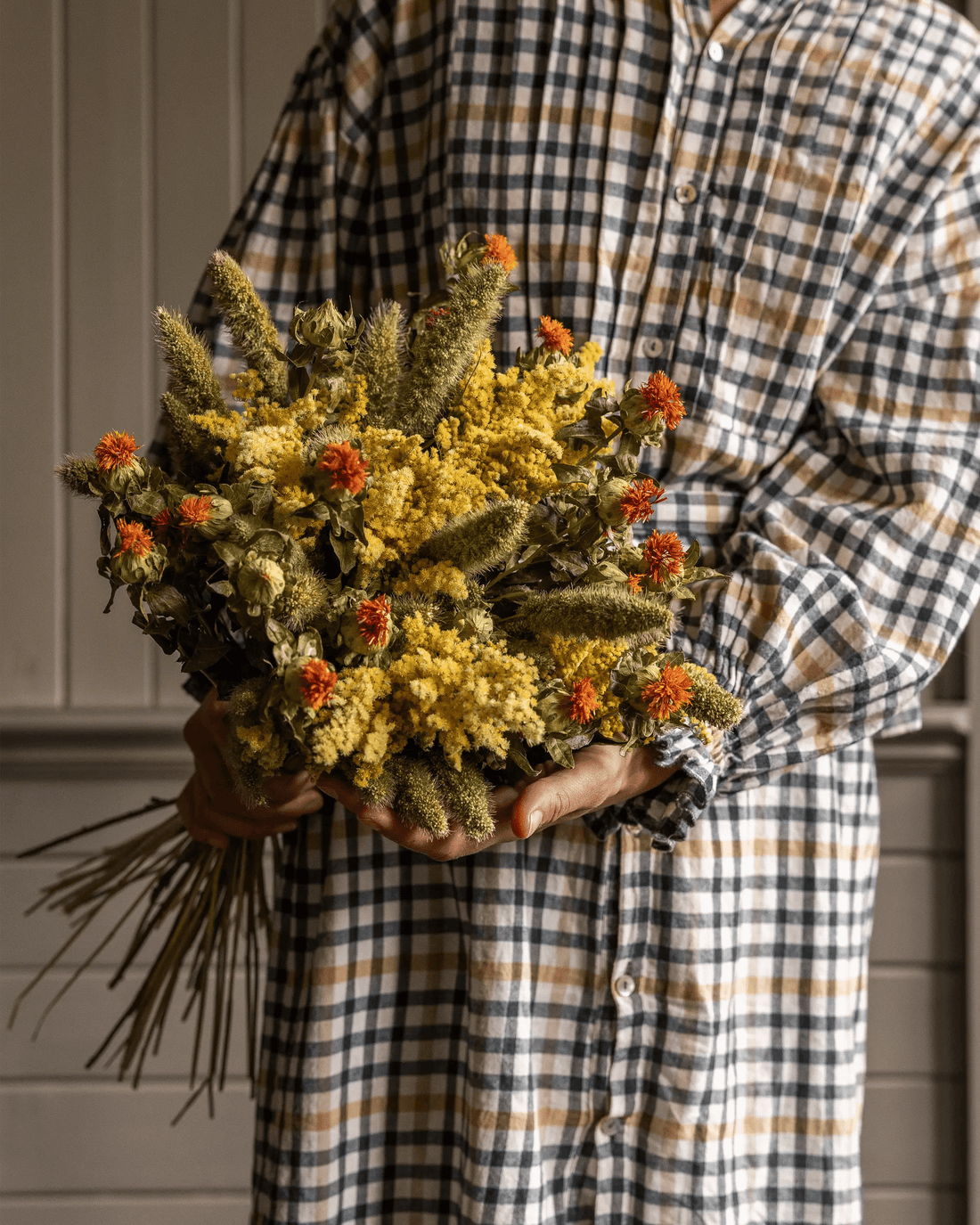 Torkade blommor - Torkad Färgtistel