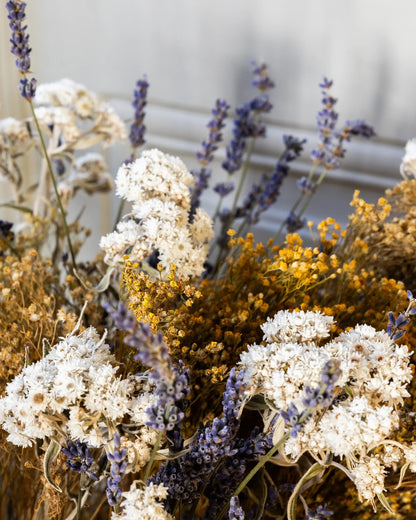 Torkade blommor - Torkad Lavendel