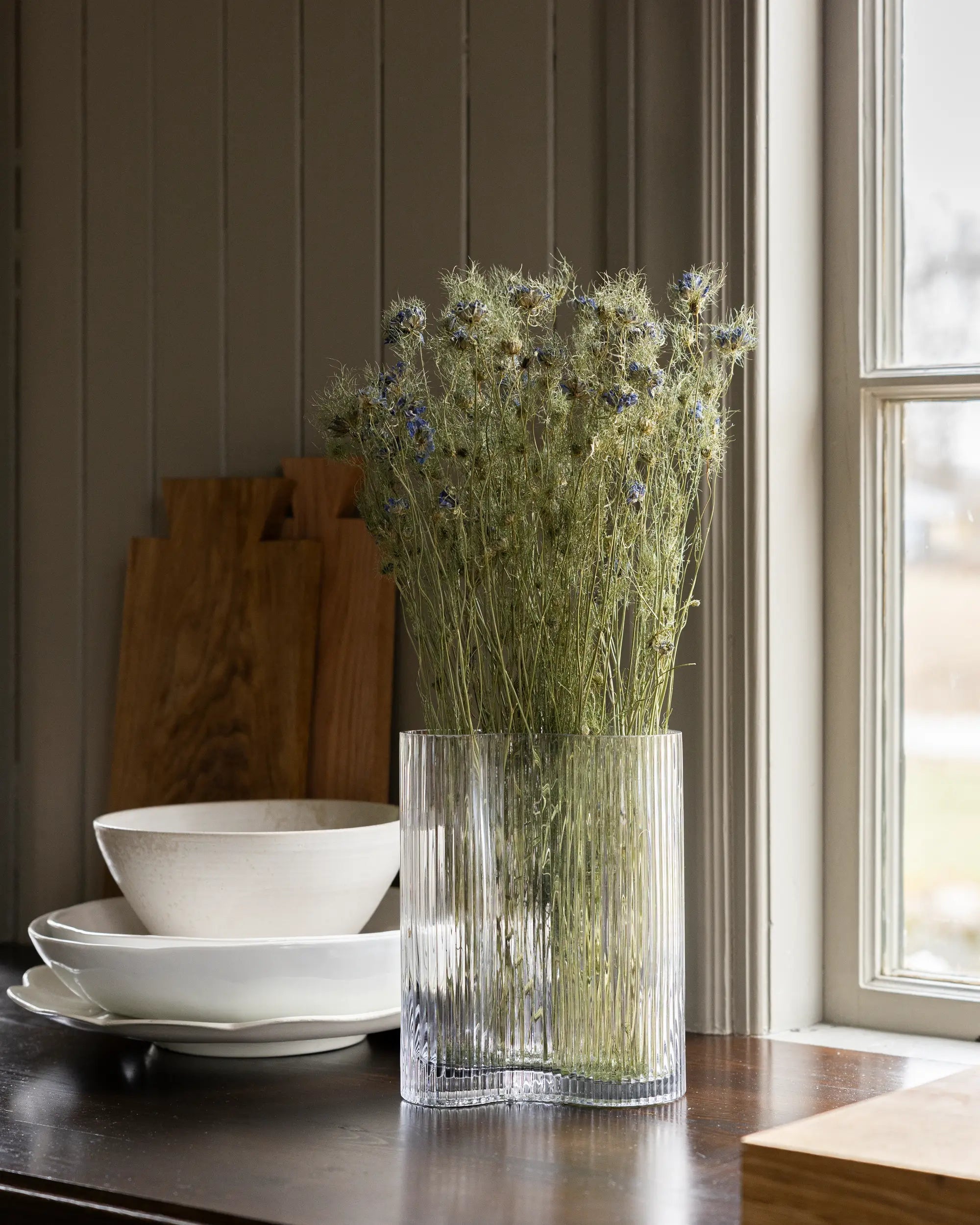 Torkade blommor - Torkad Nigella