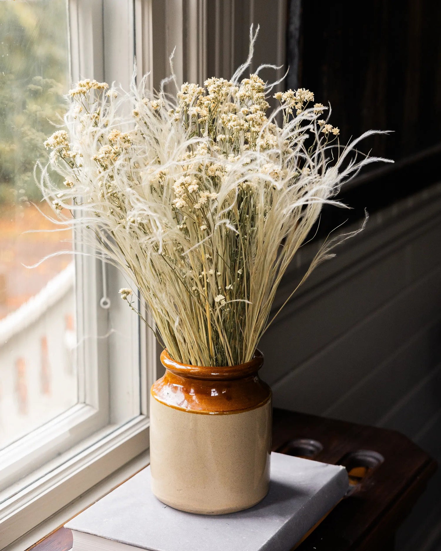 Torkade blommor - Torkad Nysört