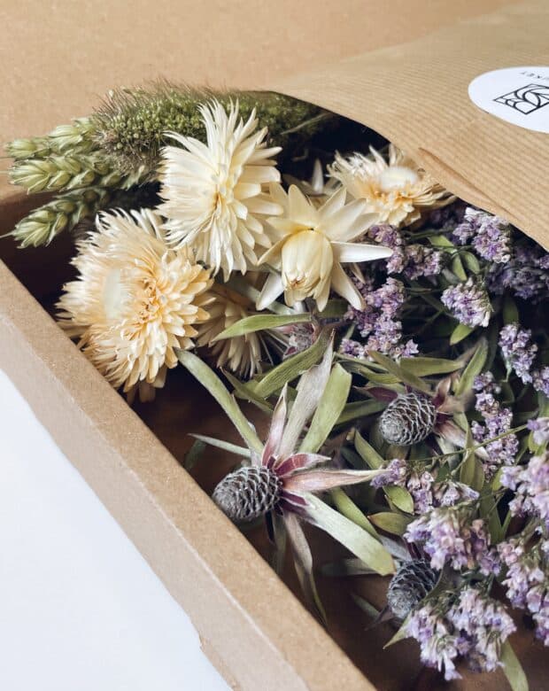 Blommor i låda