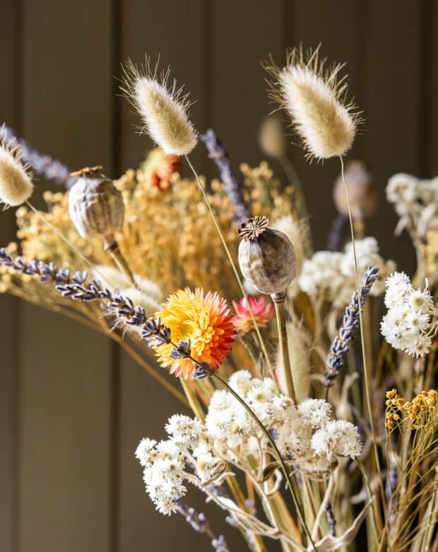 Närbild torkad bukett solnedgång med helichrysum, lavendel, ulleternell och vallmokapsel