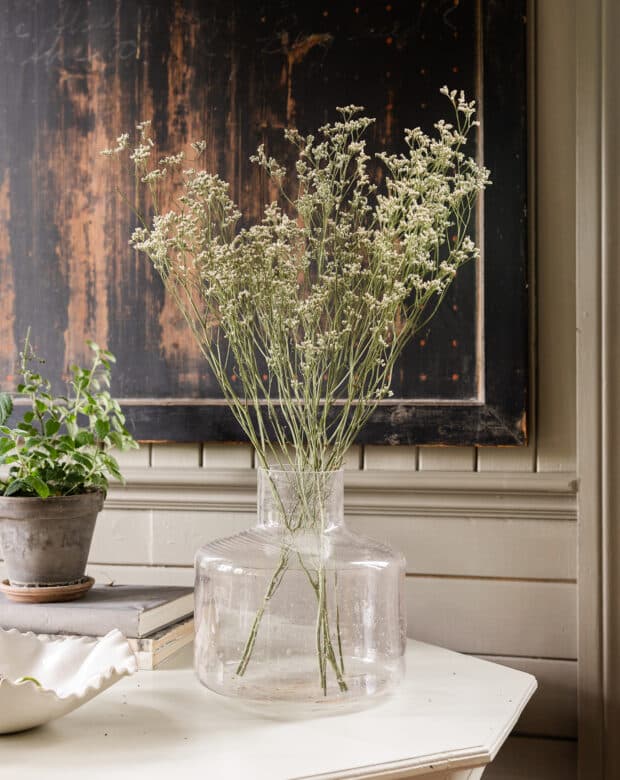 vit limonium i glas vas torkade blommor